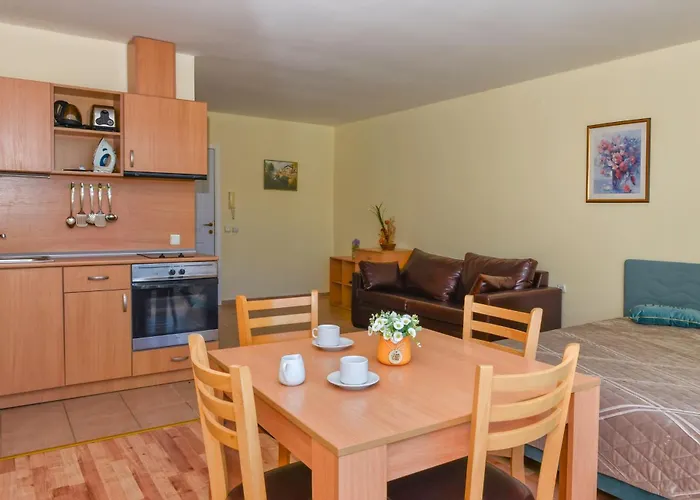 Crown Club * 圣弗拉斯