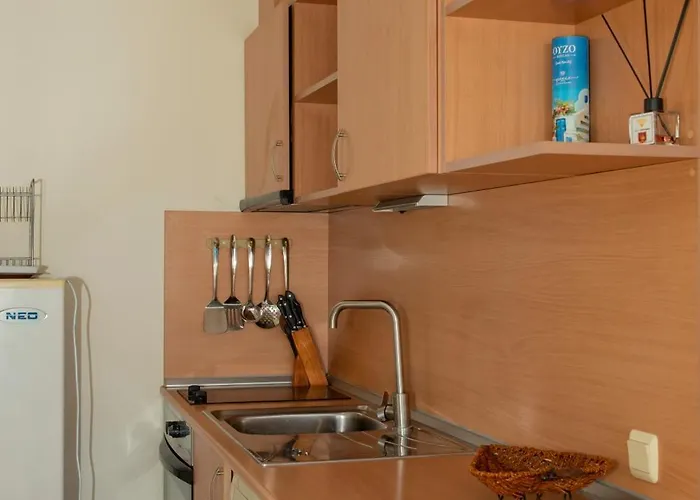 Crown Club 公寓 圣弗拉斯